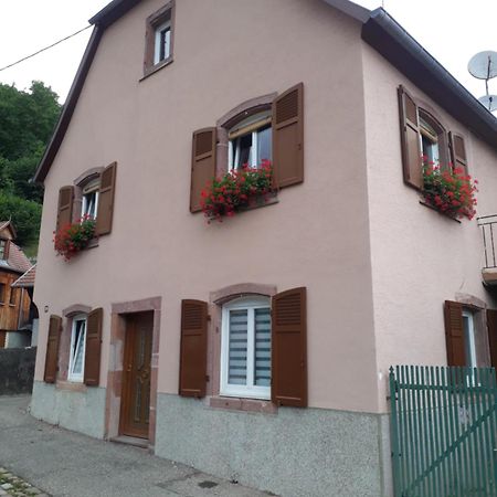 شقة Cheznousenalsace Lautenbach المظهر الخارجي الصورة